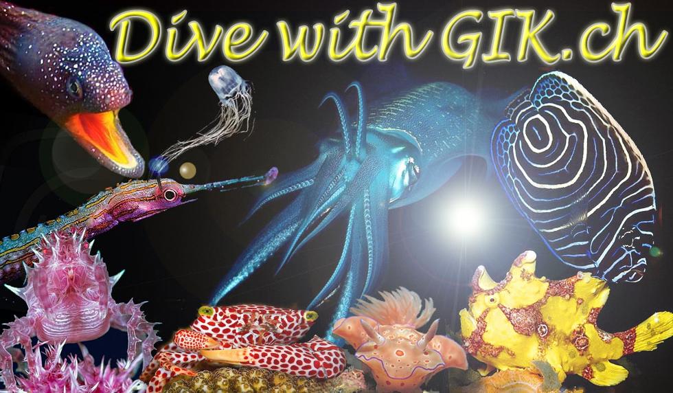 GIK-Dive-11